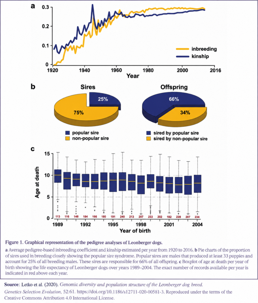 Research graphs showing inbreeding, kinship and breeding trends in Leonbergers