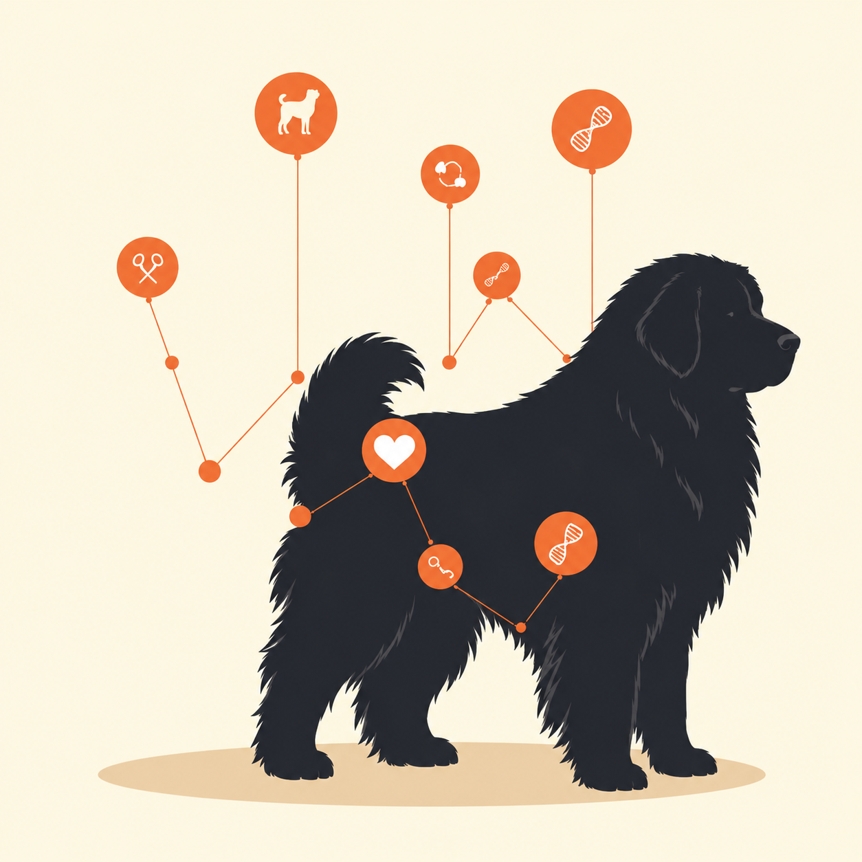 Leonberger silhouette with connected DNA, health and breeding symbols